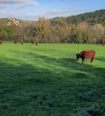 فيلا Le Cocon Beaujolais Chatillon  المظهر الخارجي الصورة
