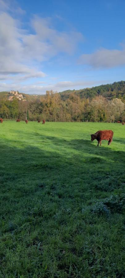 فيلا Le Cocon Beaujolais Chatillon  المظهر الخارجي الصورة